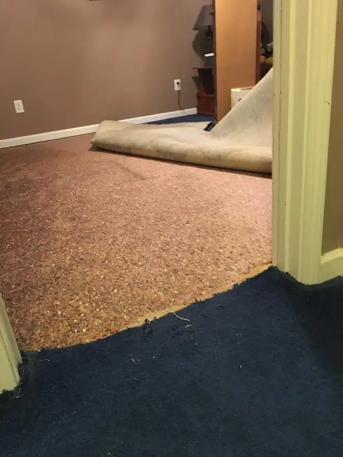 Carpet pad removal revealing water damage during Drying & Dehumidification in Guntersville